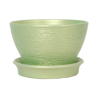 КС Фіалочниця 23 люкс салат купить