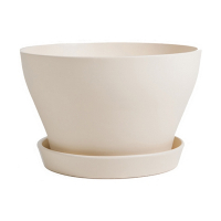 Бокарнейница мат бежевый купить