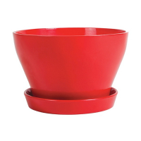 Бокарниця глянець червоний купить