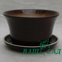 Зефир №2 глазурь купить