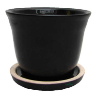 Кактус №3 глазур купить