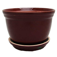 Кактус №1 глазур купить