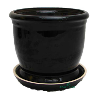 Орфей глазур купить