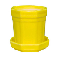 Кактусник купить