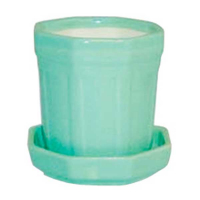 Кактусник купить