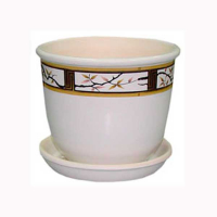 Классик сакура купить