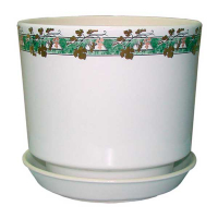 Мальва №2 золота лоза купить