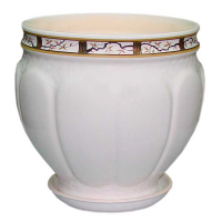 Фантазия сакура купить