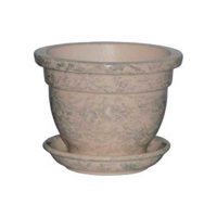 Фиалочница купить