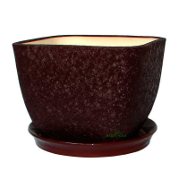 Ноктюрн №1 шелк шоколад купить