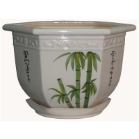 Греция бамбук купить