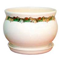 Глория золотая лоза купить