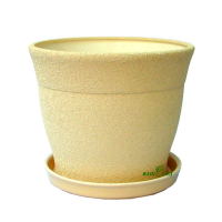 Флоріс №1 бежевий шовк купить