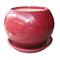 Куля 1,4л бордо глянець купить