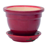 Фиалочница бордо глянец купить