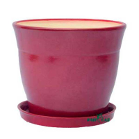 Флоріс №1 бордо глянець купить