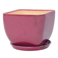 Ноктюрн №2 бордо глянець купить