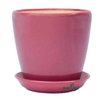 Грація №3 бордо глянець купить