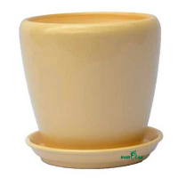 Грація №3 беж глянець купить