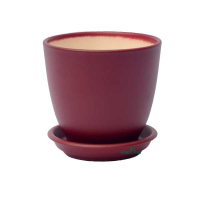 Кедр №2 оксамит бордо купить