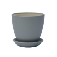 Кедр №3 оксамит сірий купить