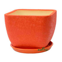 Ноктюрн №3 шовк помаранчевий купить