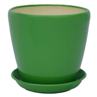 Грація №2 зелений глянець купить