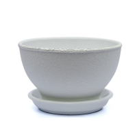 Бонсайница шелк белый купить