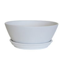 Бонсайниця Нова 2,5л крихта біла купить