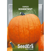 Тыква Коннектикут Seedera, 2 г купить