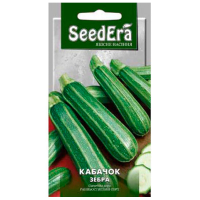 Кабачок-цукіні Зебра купить