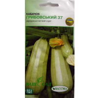 Кабачок Грибовський-37 5г купить