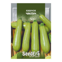 Насіння Кабачок ЧАКЛУН Seedera, 20г купить
