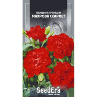 Гвоздика садова Гренадин махрова Скарлет дворічна Seedera, 0,2 г купить