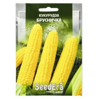 Кукурудза цукрова Брусничка Seedera 10г купить