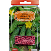 Огірок Юліан F1 50шт купить