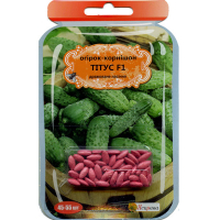 Огірок-корнішон Титус F1 50шт купить