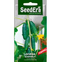 Огірок Бобрик F1 Seedera 10шт купить