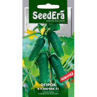 Огірок Коник F1 Seedera 10шт купить