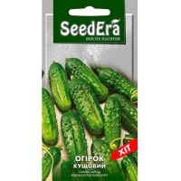 Огірок Кущовий Seedera 1г купить