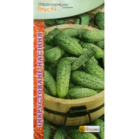 Огірок-корнішон Титус F1 інкрустований 1г купить