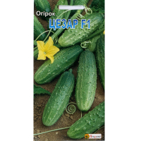 Огірок Цезар F1 20шт купить