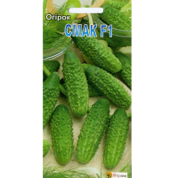 Огірок Смак F1 20шт купить