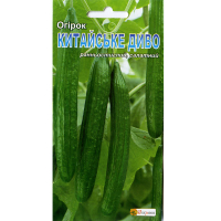 Огірок Китайське Чудо 15 шт купить