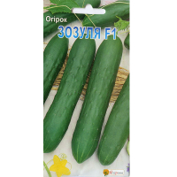 Огірок Зозуля F1 10шт купить