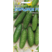 Огірок Зубраня F1 пакет гігант 5г купить