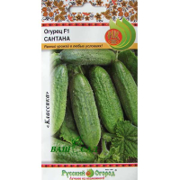 Огірок F1 Сантана 10шт купить