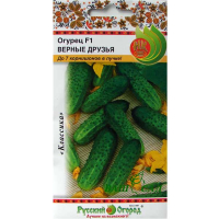 Огірок F1 Вірні друзі 10шт купить