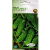 Огурец Ласточка F1 0,5г купить