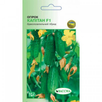 Огірок Капітан F1 Вассма 10шт купить